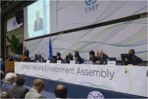 Imagem 1 – A Assembleia do Meio Ambiente da ONU 