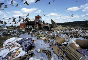 Imagem 2 - Deposição de lixo urbano à “céu aberto”